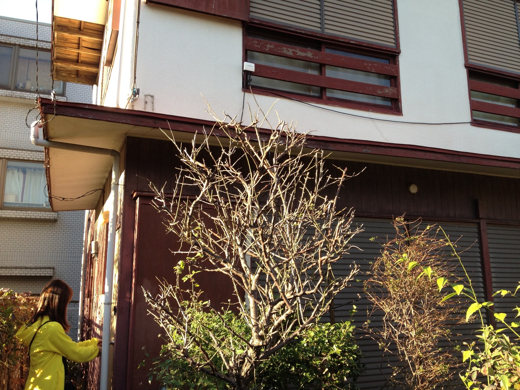藤沢市・本鵠沼の戸建リノベーション 写真1